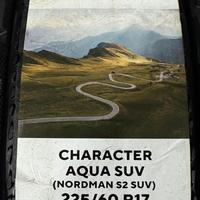 225/60  R17  Ikon (Nokian Tyres) Character Aqua SUV (Nordman S2 SUV) 99H Вид 11