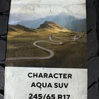 245/65  R17  Ikon (Nokian Tyres) Character Aqua SUV (Nordman S2 SUV) 111H XL Вид 11