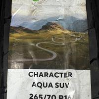 265/70  R16  Ikon (Nokian Tyres) Character Aqua SUV (Nordman S2 SUV) 112T Вид 11