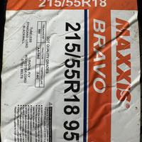 215/55  R18  Maxxis Bravo HP-M3 95V Вид 9