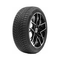 215/60  R17  Delinte AW6 100V