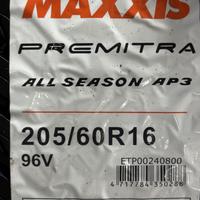 205/60  R16  Maxxis Premitra All-Season AP3 96V XL Вид 9