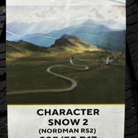 225/55  R17  Ikon (Nokian Tyres) Character Snow 2 101R XL Вид 9