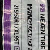 215/50  R17  Nexen Winguard Ice Plus 95T XL Вид 9