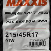 215/45  R17  Maxxis Premitra All-Season AP3 91W XL Вид 9