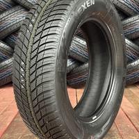 225/65  R17  Nexen N'Blue 4Season 106V XL Вид 2
