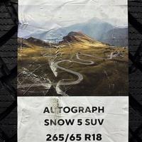265/65  R18  Ikon (Nokian Tyres) Autograph Snow 5 SUV 116T Вид 9