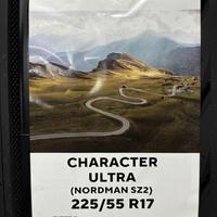 225/55  R17  Ikon (Nokian Tyres) Character Ultra (Nordman SZ2) 101W XL Вид 11