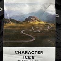 175/70  R13  Ikon (Nokian Tyres) Character Ice 8 шип 82T Вид 9