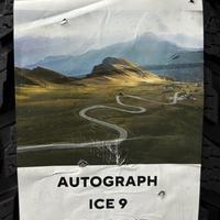215/50  R17  Ikon (Nokian Tyres) Autograph Ice 9 шип 95T XL Вид 9