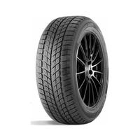 235/55  R20  DoubleStar DW09 102H