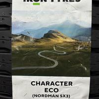 175/70  R13  Ikon (Nokian Tyres) Character Eco (Nordman SX3) 82T Вид 11