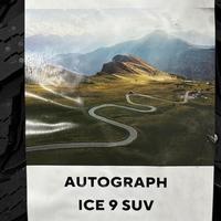 215/65  R16  Ikon (Nokian Tyres) Autograph Ice 9 шип SUV 102T XL Вид 9