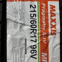 215/60  R17  Maxxis Pragmatra MP15 96V Вид 9