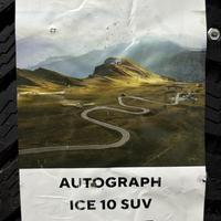 225/65  R17  Ikon (Nokian Tyres) Autograph Ice 10 шип SUV 106T XL Вид 11