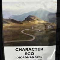 185/65  R15  Ikon (Nokian Tyres) Character Eco (Nordman SX3) 88H Вид 11