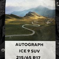215/65  R17  Ikon (Nokian Tyres) Autograph Ice 9 шип SUV 103T XL Вид 9