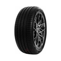 255/45  R18  Delinte DS-2 99W