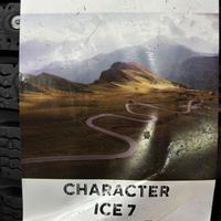 155/80  R13  Ikon (Nokian Tyres) Character Ice 7 шип 79T Вид 9