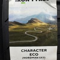 195/65  R15  Ikon (Nokian Tyres) Character Eco (Nordman SX3) 91H Вид 11