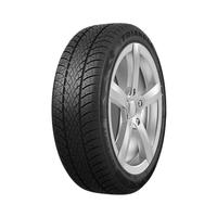 225/55  R16  Triangle WinterX TW401 99V