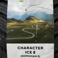 185/65  R14  Ikon (Nokian Tyres) Character Ice 8 шип 90T Вид 9
