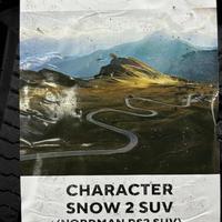 245/65  R17  Ikon (Nokian Tyres) Character Snow 2 SUV 111R XL Вид 9