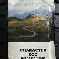 175/65  R14  Ikon (Nokian Tyres) Character Eco (Nordman SX3) 82T Вид 11