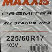 225/60  R17  Maxxis Premitra All-Season AP3 103V XL Вид 9