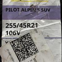 255/45  R21  Michelin Pilot Alpin 5 SUV 106V XL Вид 10