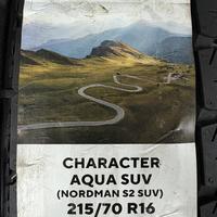 215/70  R16  Ikon (Nokian Tyres) Character Aqua SUV (Nordman S2 SUV) 100H Вид 11