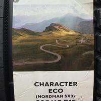 205/65  R15  Ikon (Nokian Tyres) Character Eco (Nordman SX3) 94H Вид 11