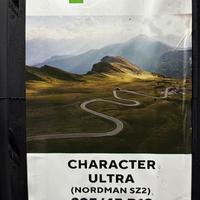 225/45  R19  Ikon (Nokian Tyres) Character Ultra (Nordman SZ2) 92W Вид 11