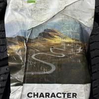 235/55  R18  Ikon (Nokian Tyres) Character Snow 2 SUV 104R XL Вид 9