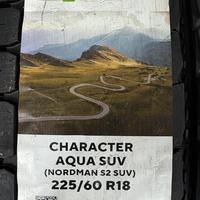 225/60  R18  Ikon (Nokian Tyres) Character Aqua SUV (Nordman S2 SUV) 100H Вид 11