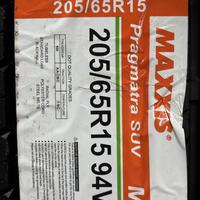205/65  R15  Maxxis Pragmatra MP15 94V Вид 9