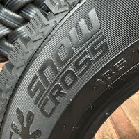 185/65  R14  Cordiant Snow Cross шип 86T Вид 15