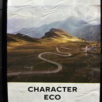195/55  R16  Ikon (Nokian Tyres) Character Eco (Nordman SX3) 91H XL Вид 11