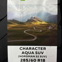 285/60  R18  Ikon (Nokian Tyres) Character Aqua SUV (Nordman S2 SUV) 116V Вид 11