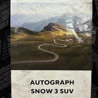 265/50  R20  Ikon (Nokian Tyres) Autograph Snow 3 SUV 111R XL Вид 9
