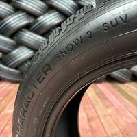 225/55  R19  Ikon (Nokian Tyres) Character Snow 2 SUV 103T XL Вид 7